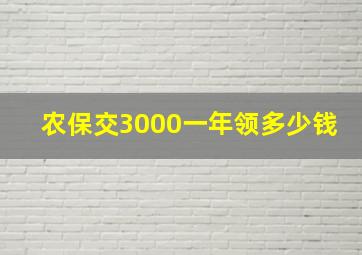 农保交3000一年领多少钱