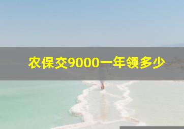 农保交9000一年领多少