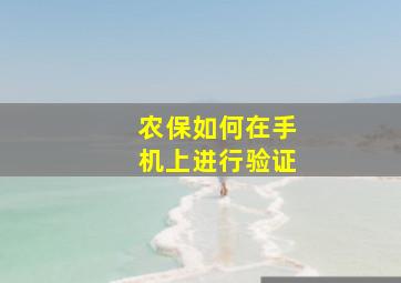 农保如何在手机上进行验证