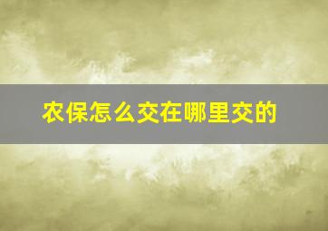 农保怎么交在哪里交的