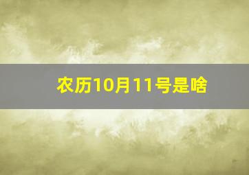 农历10月11号是啥