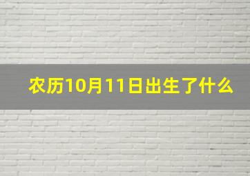 农历10月11日出生了什么