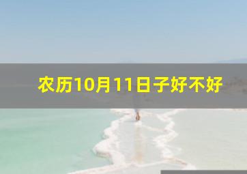 农历10月11日子好不好