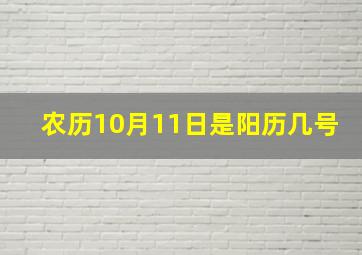 农历10月11日是阳历几号