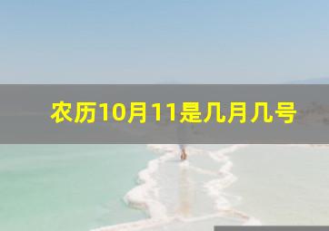 农历10月11是几月几号