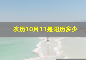 农历10月11是阳历多少