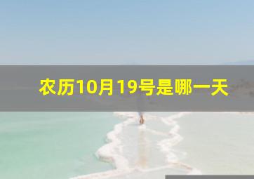 农历10月19号是哪一天