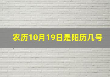 农历10月19日是阳历几号