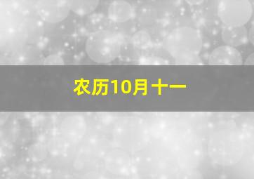 农历10月十一