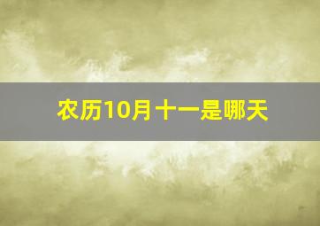 农历10月十一是哪天