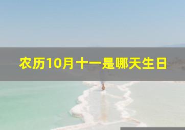 农历10月十一是哪天生日