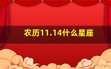 农历11.14什么星座