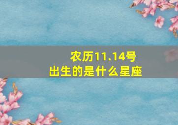 农历11.14号出生的是什么星座