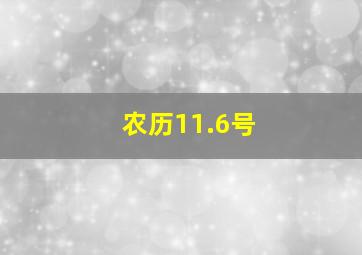 农历11.6号