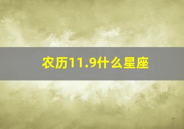 农历11.9什么星座