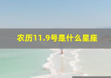 农历11.9号是什么星座