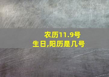 农历11.9号生日,阳历是几号