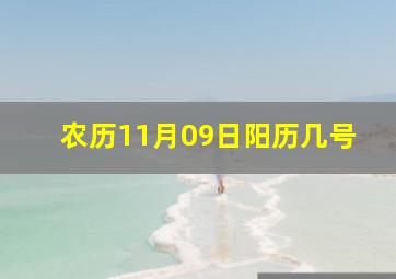 农历11月09日阳历几号