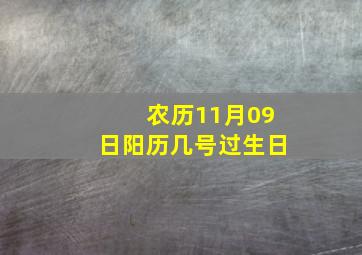 农历11月09日阳历几号过生日