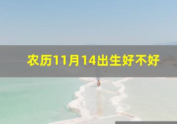 农历11月14出生好不好