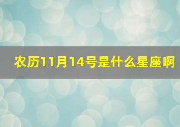 农历11月14号是什么星座啊