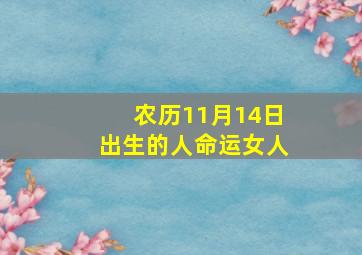 农历11月14日出生的人命运女人