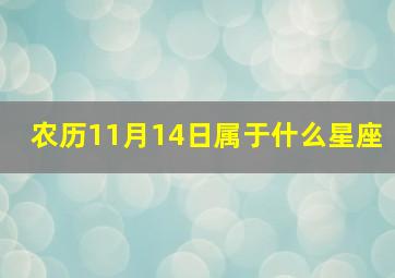 农历11月14日属于什么星座