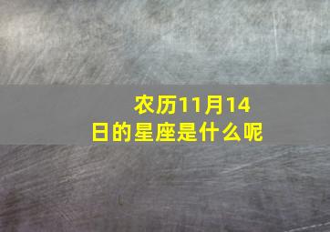 农历11月14日的星座是什么呢