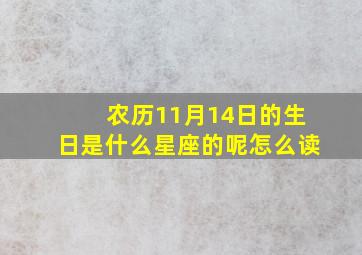 农历11月14日的生日是什么星座的呢怎么读