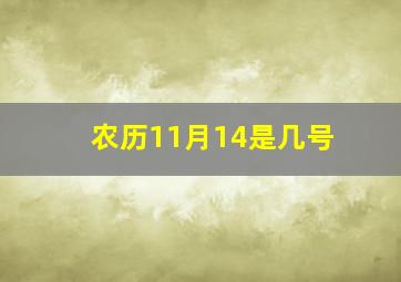 农历11月14是几号