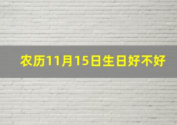 农历11月15日生日好不好