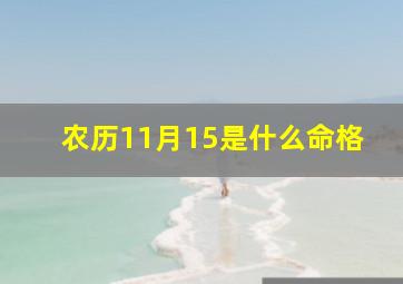 农历11月15是什么命格