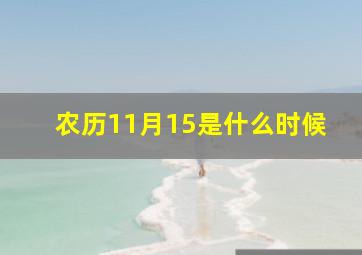 农历11月15是什么时候