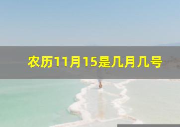 农历11月15是几月几号