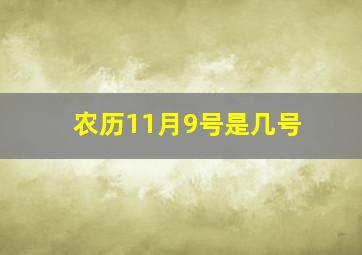 农历11月9号是几号