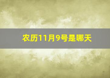 农历11月9号是哪天