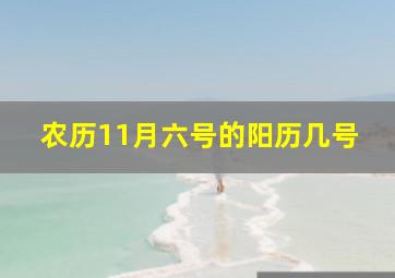 农历11月六号的阳历几号