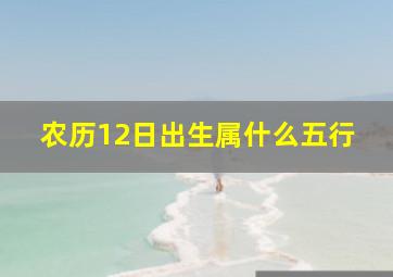 农历12日出生属什么五行