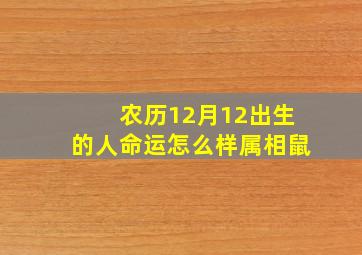 农历12月12出生的人命运怎么样属相鼠