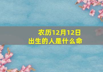 农历12月12日出生的人是什么命