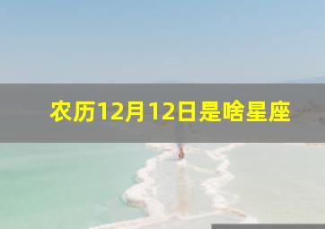 农历12月12日是啥星座