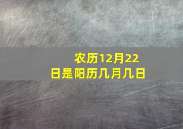 农历12月22日是阳历几月几日