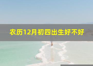 农历12月初四出生好不好