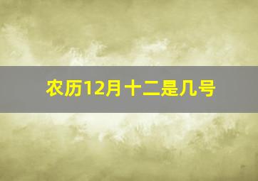 农历12月十二是几号