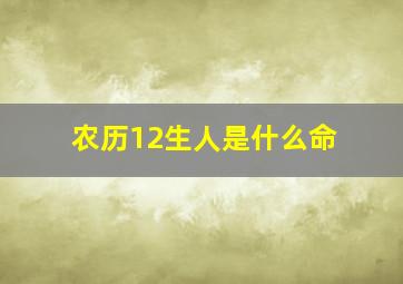 农历12生人是什么命