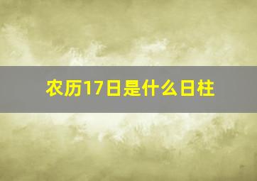 农历17日是什么日柱