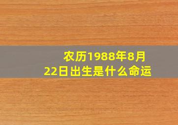 农历1988年8月22日出生是什么命运