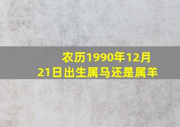 农历1990年12月21日出生属马还是属羊