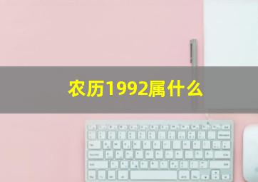 农历1992属什么