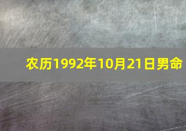 农历1992年10月21日男命